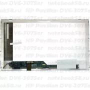 Матрица для ноутбука HP Pavilion DV6-3075er (1366x768 HD) TN, 40pin, Глянцевая