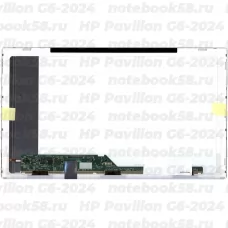 Матрица для ноутбука HP Pavilion G6-2024 (1366x768 HD) TN, 40pin, Матовая