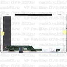 Матрица для ноутбука HP Pavilion DV6-3022sr (1366x768 HD) TN, 40pin, Матовая