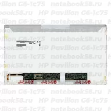 Матрица для ноутбука HP Pavilion G6-1c75 (1366x768 HD) TN, 40pin, Глянцевая