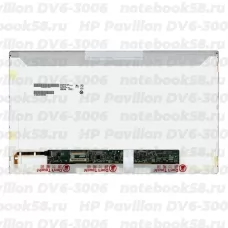 Матрица для ноутбука HP Pavilion DV6-3006 (1366x768 HD) TN, 40pin, Глянцевая