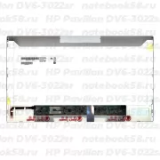 Матрица для ноутбука HP Pavilion DV6-3022sr (1366x768 HD) TN, 40pin, Матовая