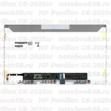 Матрица для ноутбука HP Pavilion G6-2025sr (1366x768 HD) TN, 40pin, Глянцевая