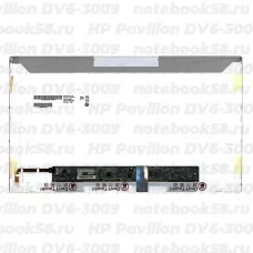 Матрица для ноутбука HP Pavilion DV6-3009 (1366x768 HD) TN, 40pin, Глянцевая