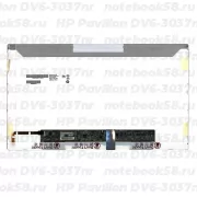 Матрица для ноутбука HP Pavilion DV6-3037nr (1366x768 HD) TN, 40pin, Глянцевая