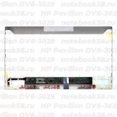 Матрица для ноутбука HP Pavilion DV6-3029 (1366x768 HD) TN, 40pin, Матовая