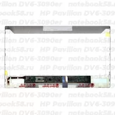 Матрица для ноутбука HP Pavilion DV6-3090er (1366x768 HD) TN, 40pin, Матовая