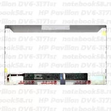 Матрица для ноутбука HP Pavilion DV6-3171sr (1366x768 HD) TN, 40pin, Матовая