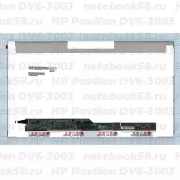 Матрица для ноутбука HP Pavilion DV6-3003 (1366x768 HD) TN, 40pin, Матовая