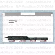 Матрица для ноутбука HP Pavilion DV6-3069 (1366x768 HD) TN, 40pin, Матовая