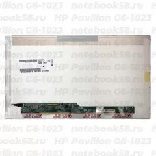 Матрица для ноутбука HP Pavilion G6-1023 (1366x768 HD) TN, 40pin, Глянцевая