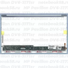 Матрица для ноутбука HP Pavilion DV6-3171sr (1366x768 HD) TN, 40pin, Глянцевая