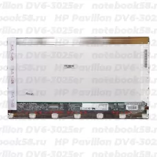 Матрица для ноутбука HP Pavilion DV6-3025er (1366x768 HD) TN, 40pin, Глянцевая