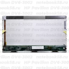 Матрица для ноутбука HP Pavilion DV6-3002 (1366x768 HD) TN, 40pin, Глянцевая