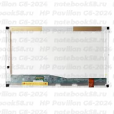 Матрица для ноутбука HP Pavilion G6-2024 (1366x768 HD) TN, 40pin, Глянцевая