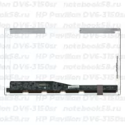 Матрица для ноутбука HP Pavilion DV6-3150sr (1366x768 HD) TN, 40pin, Глянцевая