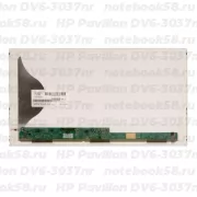 Матрица для ноутбука HP Pavilion DV6-3037nr (1366x768 HD) TN, 40pin, Матовая