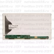 Матрица для ноутбука HP Pavilion DV6-3137 (1366x768 HD) TN, 40pin, Матовая