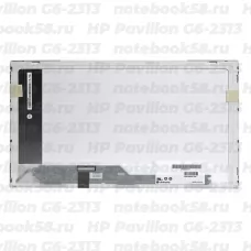 Матрица для ноутбука HP Pavilion G6-2313 (1366x768 HD) TN, 40pin, Глянцевая