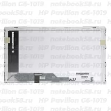 Матрица для ноутбука HP Pavilion G6-1019 (1366x768 HD) TN, 40pin, Глянцевая