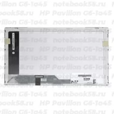 Матрица для ноутбука HP Pavilion G6-1a45 (1366x768 HD) TN, 40pin, Глянцевая