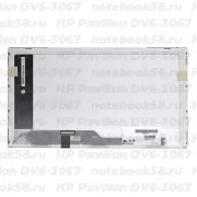 Матрица для ноутбука HP Pavilion DV6-3067 (1366x768 HD) TN, 40pin, Глянцевая