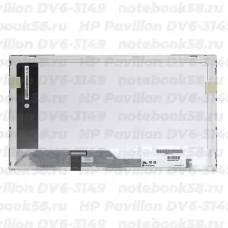 Матрица для ноутбука HP Pavilion DV6-3149 (1366x768 HD) TN, 40pin, Глянцевая