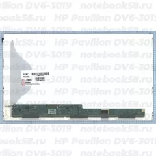 Матрица для ноутбука HP Pavilion DV6-3019 (1366x768 HD) TN, 40pin, Матовая