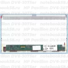 Матрица для ноутбука HP Pavilion DV6-3075er (1366x768 HD) TN, 40pin, Матовая