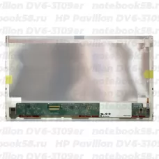 Матрица для ноутбука HP Pavilion DV6-3109er (1366x768 HD) TN, 40pin, Матовая