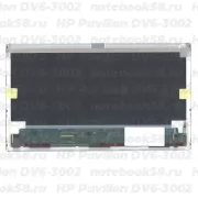 Матрица для ноутбука HP Pavilion DV6-3002 (1366x768 HD) TN, 40pin, Матовая