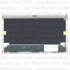 Матрица для ноутбука HP Pavilion DV6-3061 (1366x768 HD) TN, 40pin, Матовая