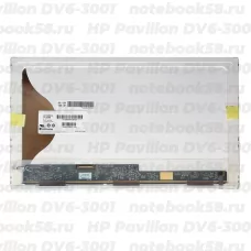 Матрица для ноутбука HP Pavilion DV6-3001 (1366x768 HD) TN, 40pin, Матовая