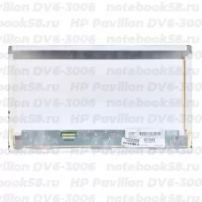 Матрица для ноутбука HP Pavilion DV6-3006 (1366x768 HD) TN, 40pin, Матовая