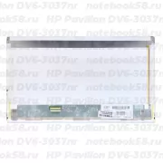 Матрица для ноутбука HP Pavilion DV6-3037nr (1366x768 HD) TN, 40pin, Матовая