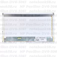 Матрица для ноутбука HP Pavilion DV6-3061 (1366x768 HD) TN, 40pin, Матовая