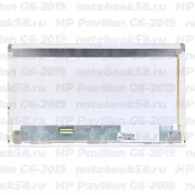 Матрица для ноутбука HP Pavilion G6-2019 (1366x768 HD) TN, 40pin, Матовая