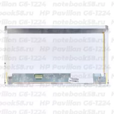 Матрица для ноутбука HP Pavilion G6-1224 (1366x768 HD) TN, 40pin, Матовая