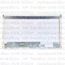 Матрица для ноутбука HP Pavilion DV6-3152nr (1366x768 HD) TN, 40pin, Матовая