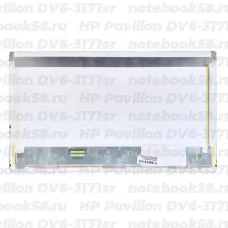 Матрица для ноутбука HP Pavilion DV6-3171sr (1366x768 HD) TN, 40pin, Матовая