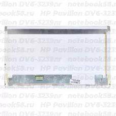 Матрица для ноутбука HP Pavilion DV6-3239nr (1366x768 HD) TN, 40pin, Матовая