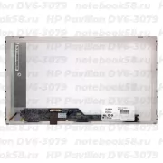 Матрица для ноутбука HP Pavilion DV6-3079 (1366x768 HD) TN, 40pin, Матовая