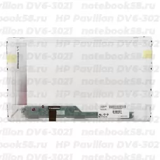 Матрица для ноутбука HP Pavilion DV6-3021 (1366x768 HD) TN, 40pin, Матовая