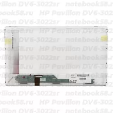 Матрица для ноутбука HP Pavilion DV6-3022sr (1366x768 HD) TN, 40pin, Матовая