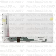 Матрица для ноутбука HP Pavilion G6-2067 (1366x768 HD) TN, 40pin, Глянцевая