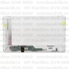 Матрица для ноутбука HP Pavilion DV6-3000 (1366x768 HD) TN, 40pin, Глянцевая