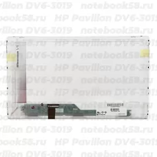 Матрица для ноутбука HP Pavilion DV6-3019 (1366x768 HD) TN, 40pin, Глянцевая