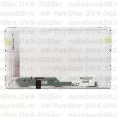 Матрица для ноутбука HP Pavilion DV6-3025er (1366x768 HD) TN, 40pin, Глянцевая