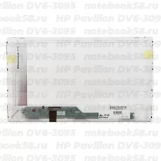 Матрица для ноутбука HP Pavilion DV6-3095 (1366x768 HD) TN, 40pin, Глянцевая