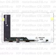 Матрица для ноутбука HP Pavilion G6-2019 (1366x768 HD) TN, 40pin, Матовая